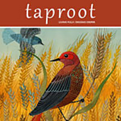 The Taproot make-along begins on January 1 and concludes on March 1. You're invited to make anything from the Hands section of Taproot magazine, any issue. Projects in progress are okay too. Post your plans, progress, and finished projects on the Ravelry thread. Generous listeners have offered up some prizes for participation too. Click on the image above to travel to the group thread.
