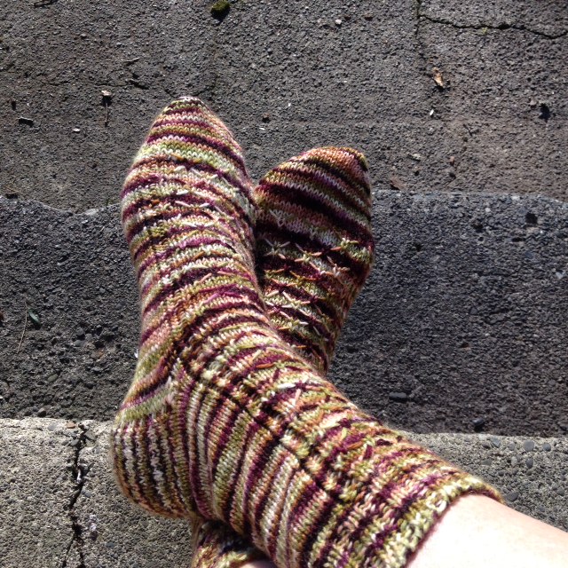 Collywobbles socks designed by Emily Estrada in Fat Cat Knits sock yarn.