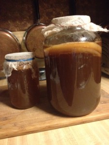 kombucha