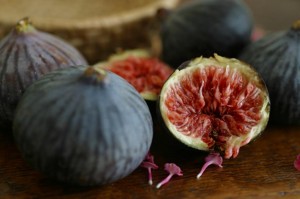 fig