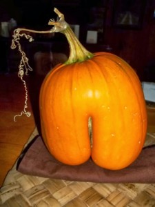 pumpkin