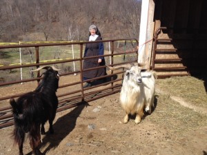 Sister Mary Elizabeth sings to Sir Lancelot and friend.