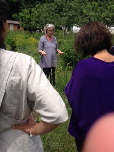 Chris provides an orientation to the biodynamic dye garden