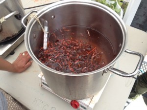 rinsed and chopped madder is heated to make a dye bath