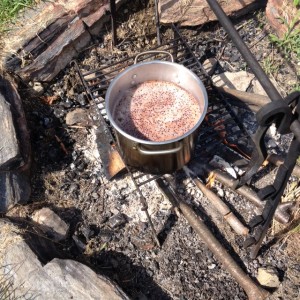 elderberries simmering over an open fire