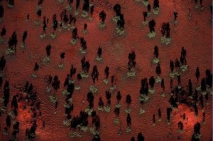 aerial view of central Australia
