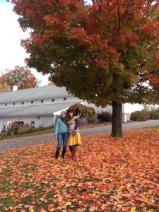 Nearly every festival-goer takes a photo near this tree. Early Sunday morning, the crowds were thin.