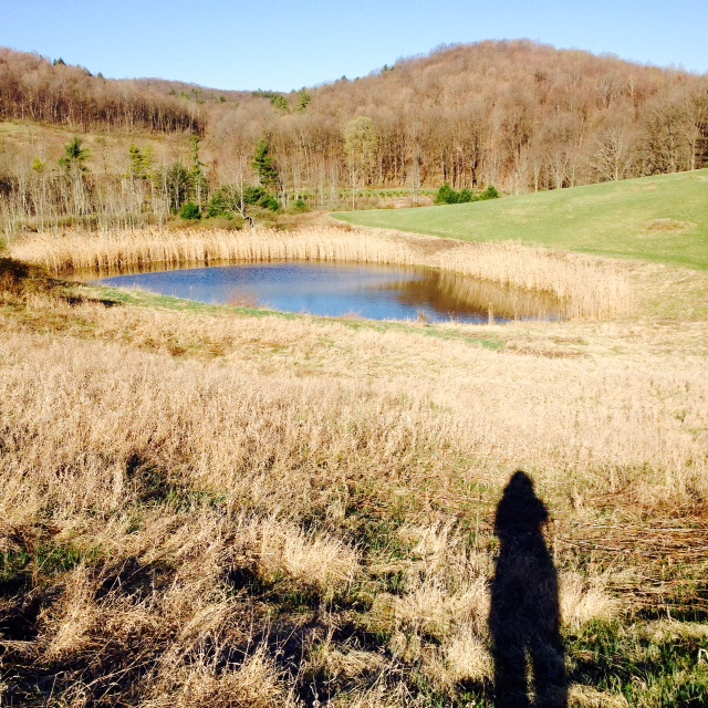 Christ the King Retreat Center has excellent trails and beautiful views.