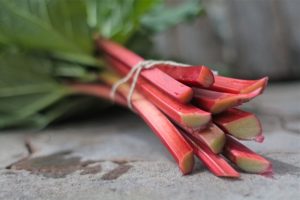 rhubarb