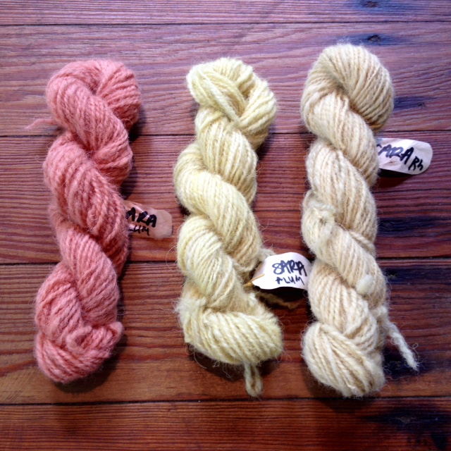 From L to R: alum mordant / madder pot; alum mordant / weld pot; rhubarb mordant / weld pot.