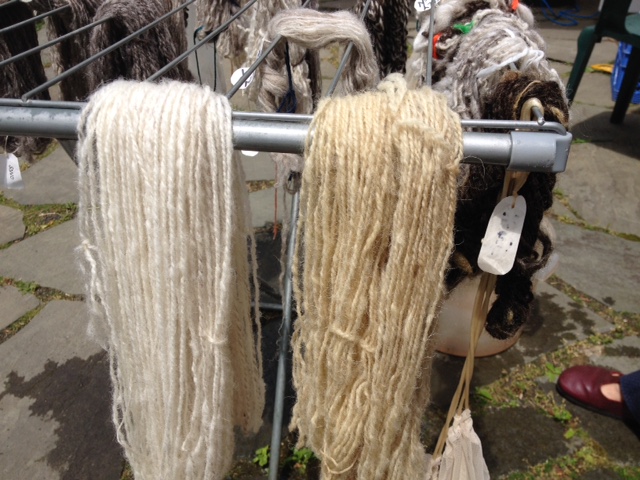 I prepared four skeins for dyeing: the two on the left were treated with an alum mordant; the two on the right with my homemade rhubarb mordant.