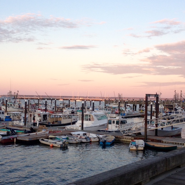 It is difficult to capture the beauty of Provincetown, or its special quality of light. Light reflects from the ocean, the harbor, the bay, the sand, the many bright white buildings in town. The light, coupled with a nearly constant breeze, have a dazzling, dizzying effect. 