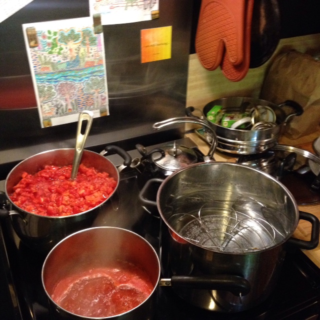 With tomatoes from my mother's New Jersey garden and my sister's Vermont homestead, I made up a batch of salsa for holiday gift giving. I don't have much formal canning equipment, so this canning insert comes in handy. To lift half-pint jars, I wrap produce bands around my kitchen tongs. It works great.