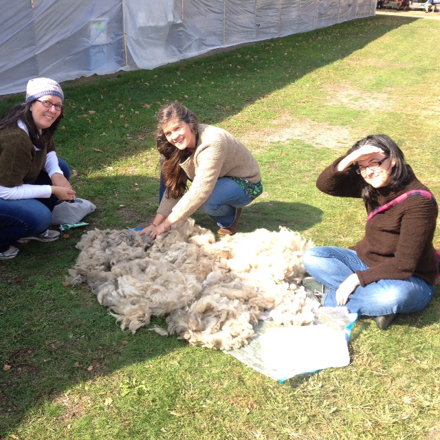 On Sunday, we divided the fleece for Part II of our Fleece-Wise series.