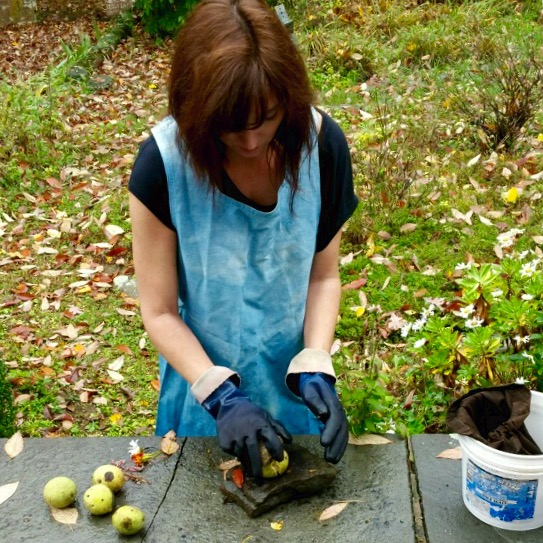 Preparing walnuts for a dye bath. I'm wearing my indigo-dyed smock!