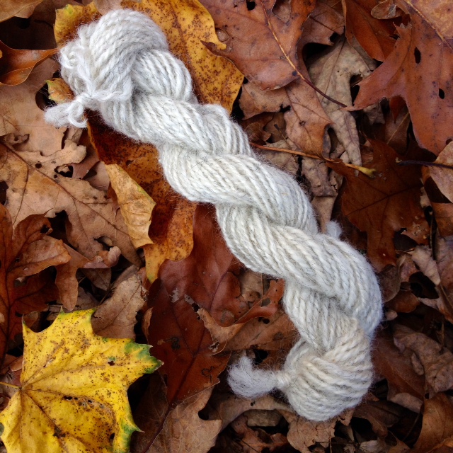 A spun sample of Eloise's fleece: 21 grams, 33 yards.