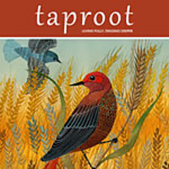 The Taproot make-along begins on January 1 and concludes on March 1. You're invited to make anything from the Hands section of Taproot magazine, any issue. Projects in progress are okay too. Post your plans, progress, and finished projects on the Ravelry thread. Generous listeners have offered up some prizes for participation too. Click on the image above to travel to the group thread.