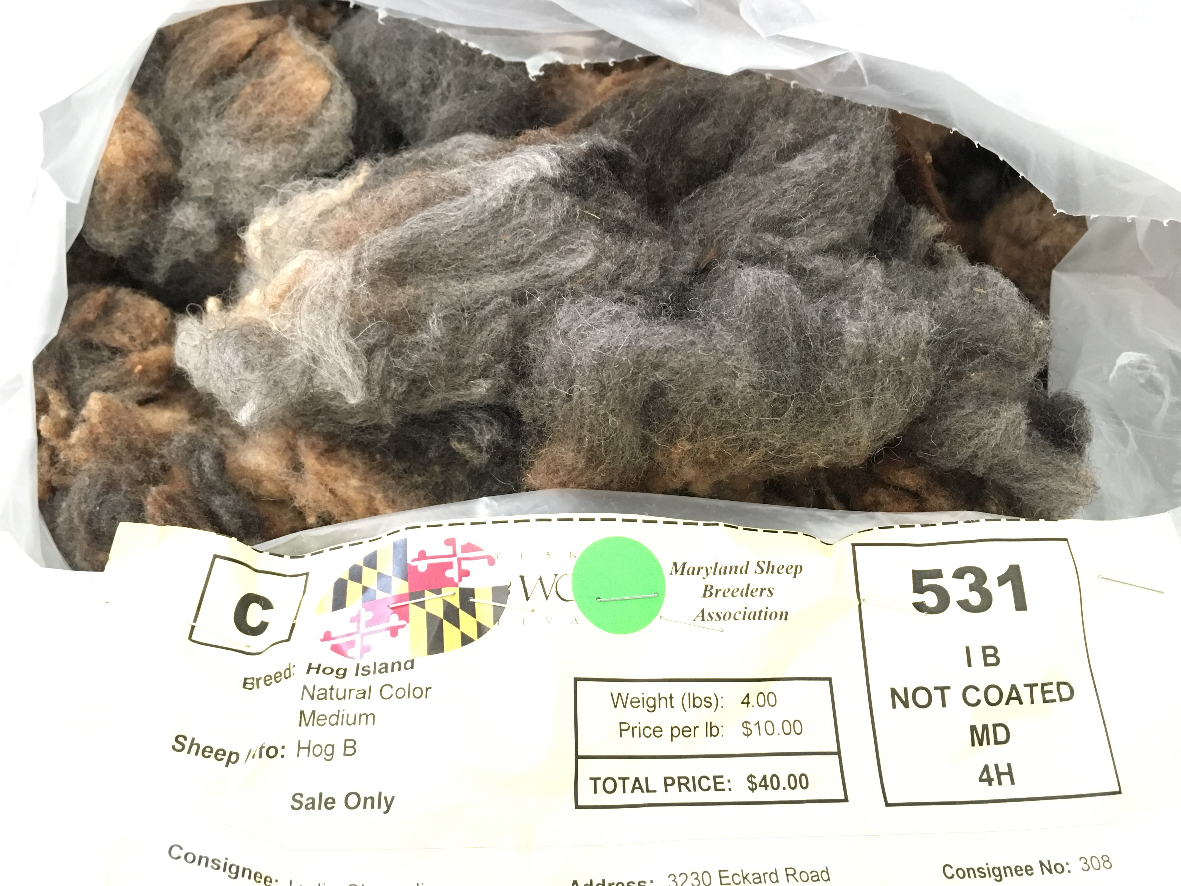 Hog Island fleece from MDSW, split with Emily of Fibretown podcast.